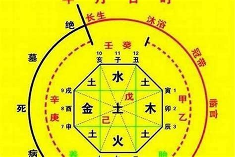 看命|生辰八字算命、五行喜用神查詢（免費測算）